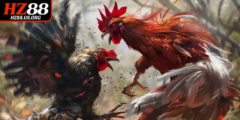 Đa dạng thể loại và tỷ lệ cược minh bạch cho hội viên