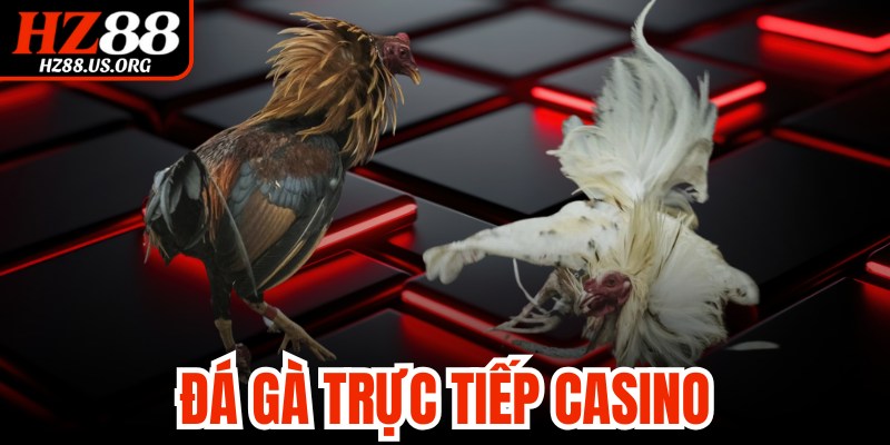 Đá Gà Trực Tiếp Casino