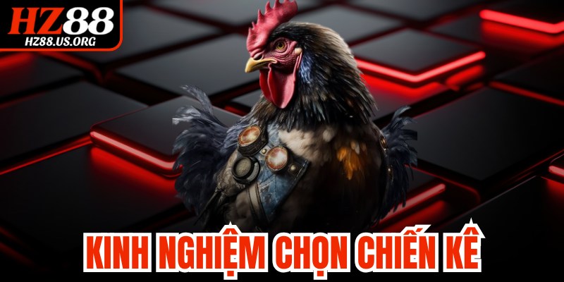 Kinh Nghiệm Chọn Chiến Kê
